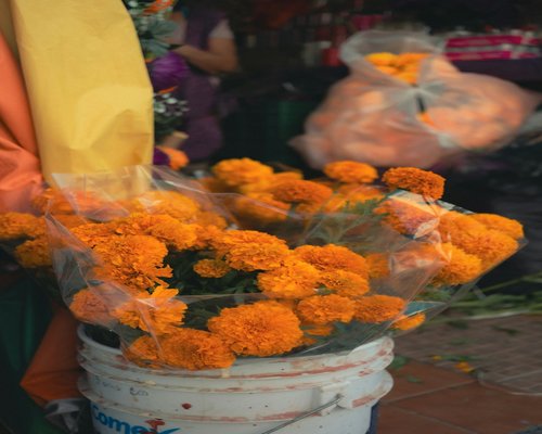 dried hibiscus flowers at a Mexican local market